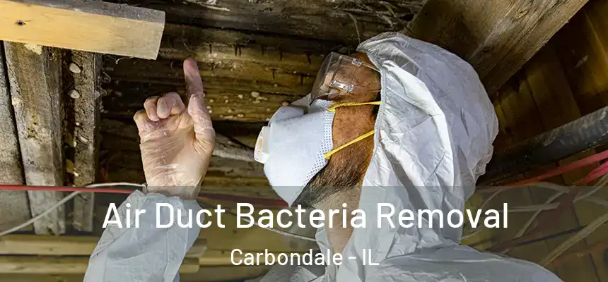  Air Duct Bacteria Removal Carbondale - IL