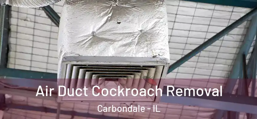 Air Duct Cockroach Removal Carbondale - IL