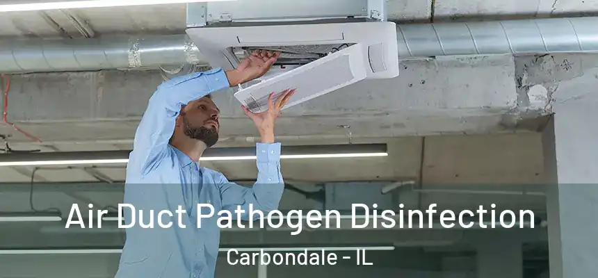  Air Duct Pathogen Disinfection Carbondale - IL
