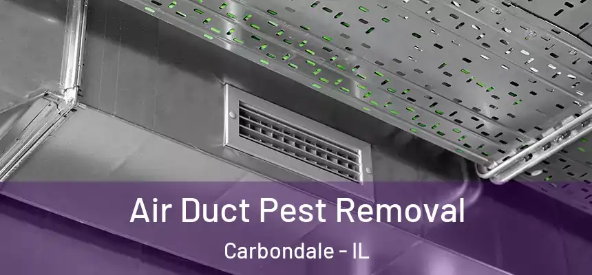 Air Duct Pest Removal Carbondale - IL