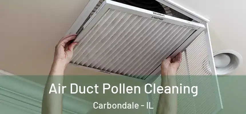 Air Duct Pollen Cleaning Carbondale - IL