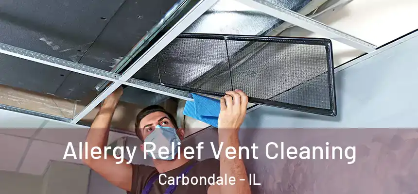  Allergy Relief Vent Cleaning Carbondale - IL