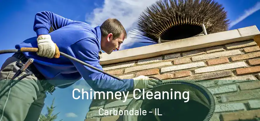  Chimney Cleaning Carbondale - IL