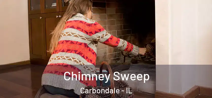  Chimney Sweep Carbondale - IL