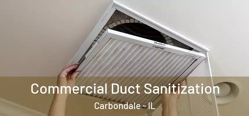  Commercial Duct Sanitization Carbondale - IL