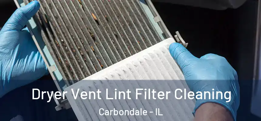  Dryer Vent Lint Filter Cleaning Carbondale - IL