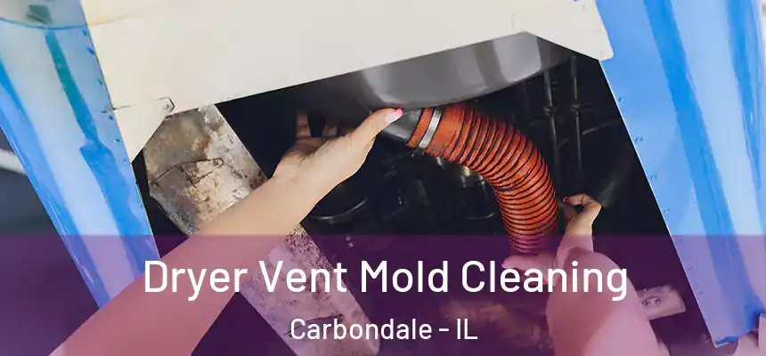  Dryer Vent Mold Cleaning Carbondale - IL