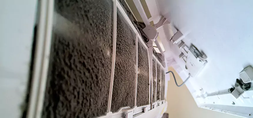 Preventive Air Duct Bacteria Removal in Carbondale