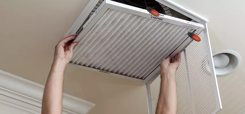 Preventive Cockroach-Proofing for Ducts in Carbondale