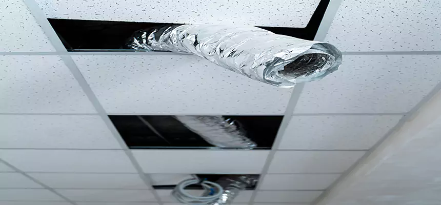 Affordable HVAC Sanitizing After Pest Removal in Carbondale