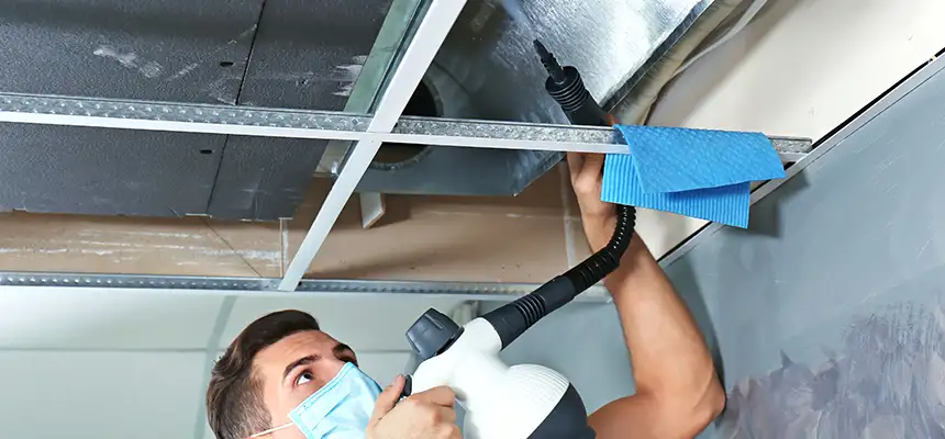Our Air Duct Rodent Removal Services in Carbondale, IL