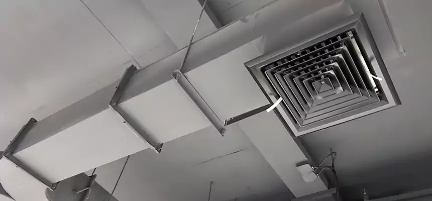 Restorative Allergy Relief Vent Cleaning – Coil, Blower & Housing Detail in Carbondale