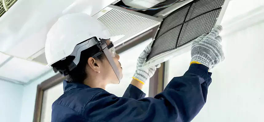 Our Mold & Mildew Removal from Air Ducts Services in Carbondale, IL