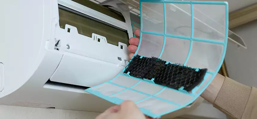 Gentle Ductwork Odor-Control Pet Dander Duct Cleaning in Carbondale, IL