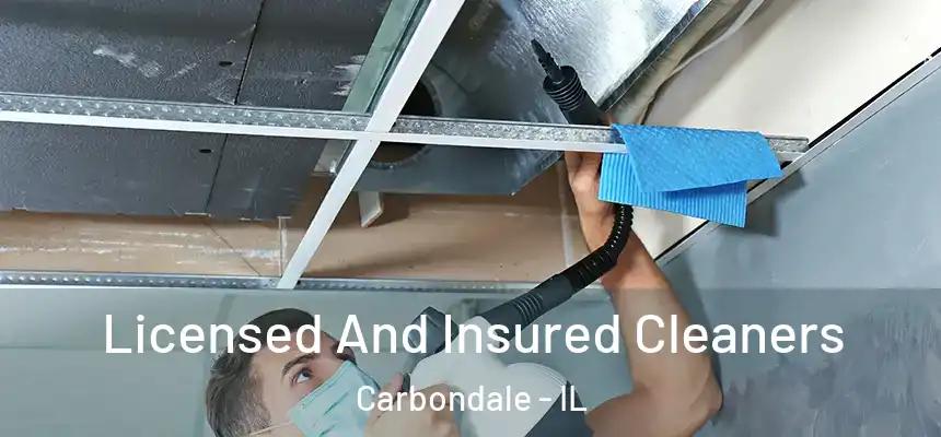 Licensed And Insured Cleaners Carbondale - IL