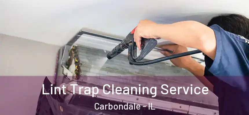  Lint Trap Cleaning Service Carbondale - IL