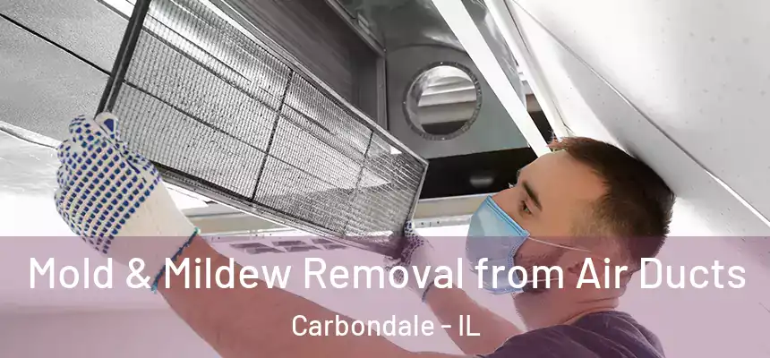 Mold & Mildew Removal from Air Ducts Carbondale - IL