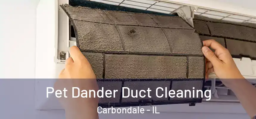  Pet Dander Duct Cleaning Carbondale - IL