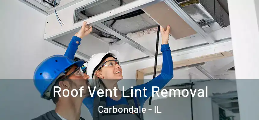 Roof Vent Lint Removal Carbondale - IL
