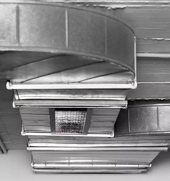 Professional Air Duct Pest Removal in Carbondale, IL