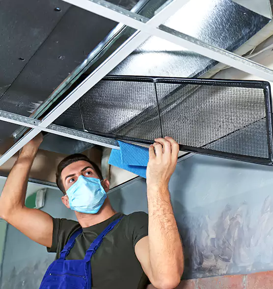 Professional Air Duct Pollen Cleaning in Carbondale, IL