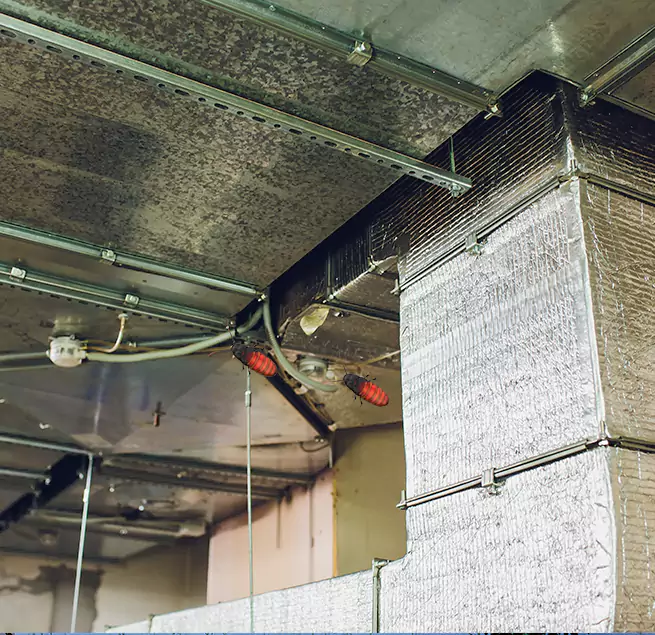 Why Homeowners & Businesses Trust Us in Carbondale, IL?