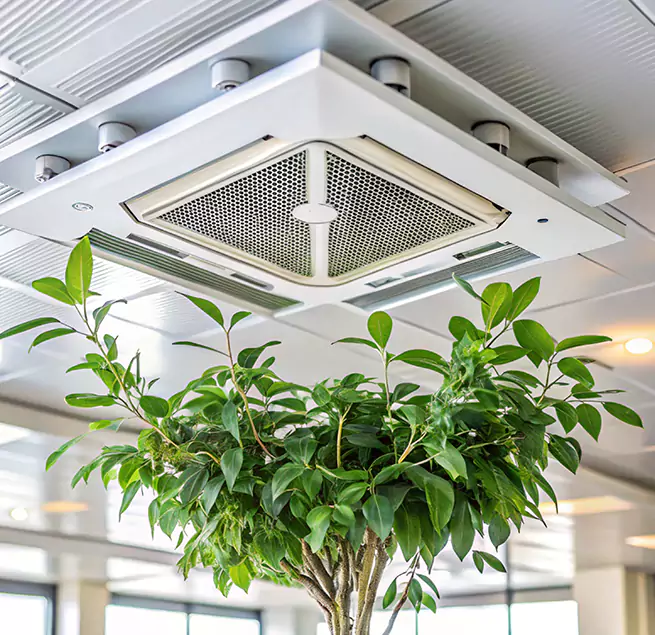 Why Homeowners & Businesses Trust Us in Carbondale, IL?