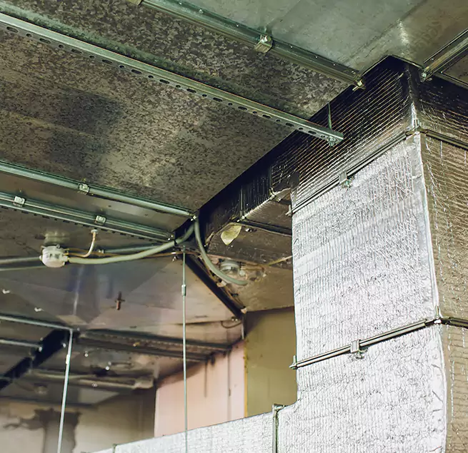 Why Homeowners & Businesses Trust Us in Carbondale, IL?